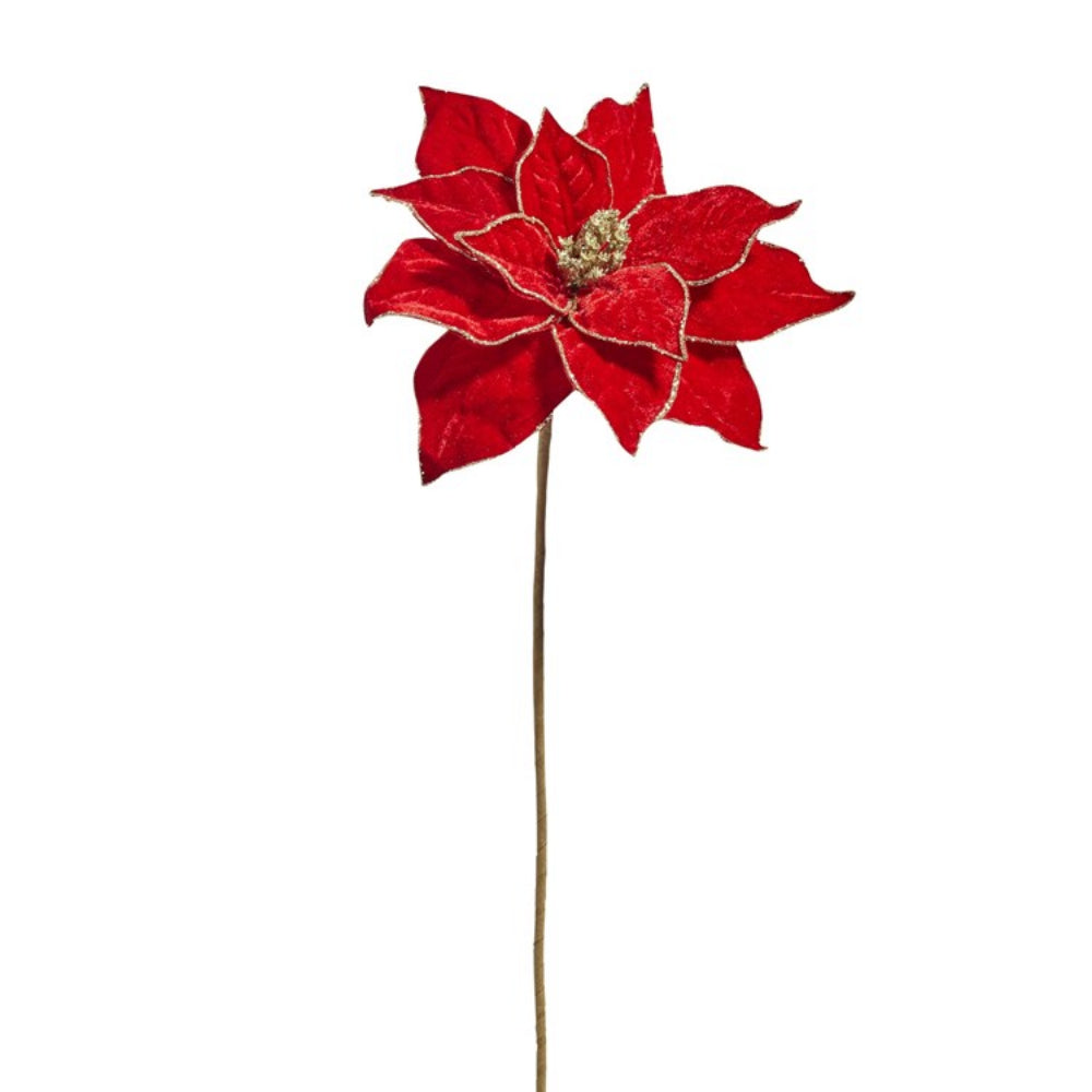20" Gold Edged Red Poinsettia Stem